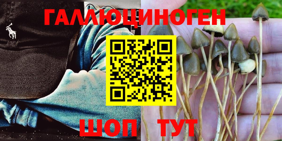 Вологда  Галлюциногенные грибы ЛСД  Вход с VPN 